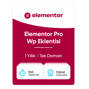Elementor Pro Eklentisi